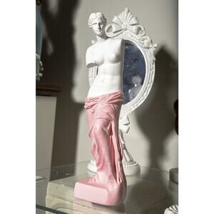 Venus Goddess of Love Greek Mythology Statue Shabby Chic Home Decor Pop Art